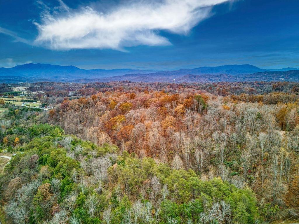 Bridgewood Cabin, Hot Tub, 1089 Of Free Attraction Tickets For Each Paid Day, Dollywood And More! بيدجن فورج المظهر الخارجي الصورة